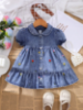 Picture of Baby Girls Denim Dress