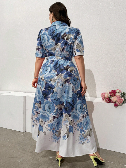 Picture of Modelyn Women's Plus Size Dress