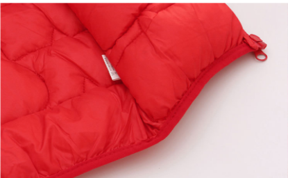 Picture of Children’s Jacket – Autumn & Winter | Down Cotton, Lightweight, Hooded