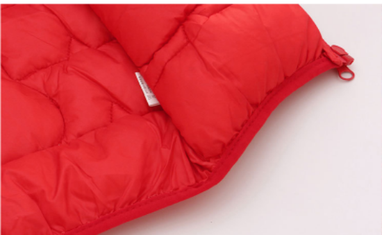 Picture of Children’s Jacket – Autumn & Winter | Down Cotton, Lightweight, Hooded