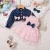 Picture of Autumn & Winter Children’s Set – Denim Top with Pink Princess Dress