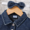 Picture of Autumn & Winter Children’s Set – Denim Top with Pink Princess Dress