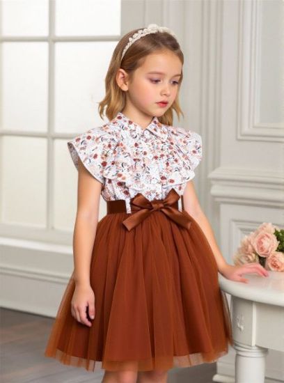 Picture of Girls’ Ruffled Sleeveless Lapel Floral Print Patchwork Mesh Dress + Waistband