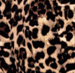 leopard print