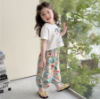 Picture of Girls’ Summer Casual Set – Thin Short-Sleeved Top with Pants