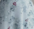 Butterfly Print