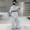 Picture of New Summer Collection for Boys – Short-Sleeved Top & Long Pants Two-Piece Set (Loose & Fashionable)